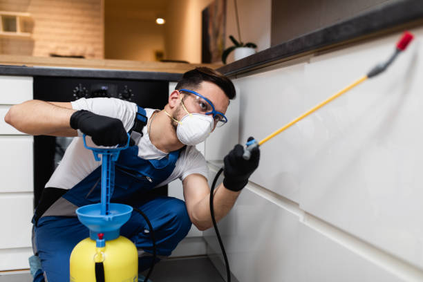 Best Local Pest Control Services  in Garfield, TX
