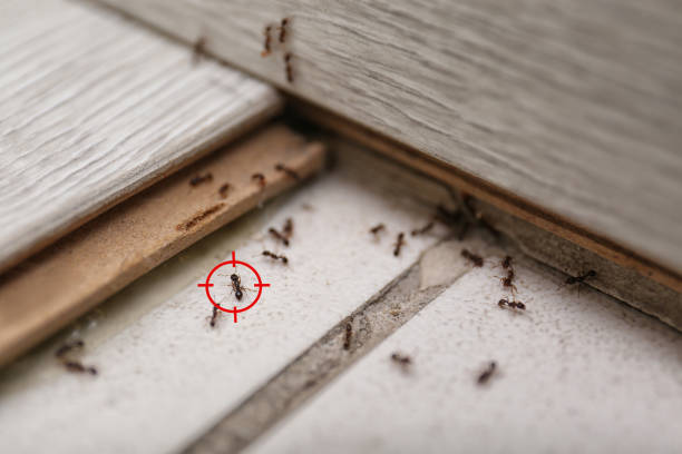 Best Wildlife Control Services  in Garfield, TX