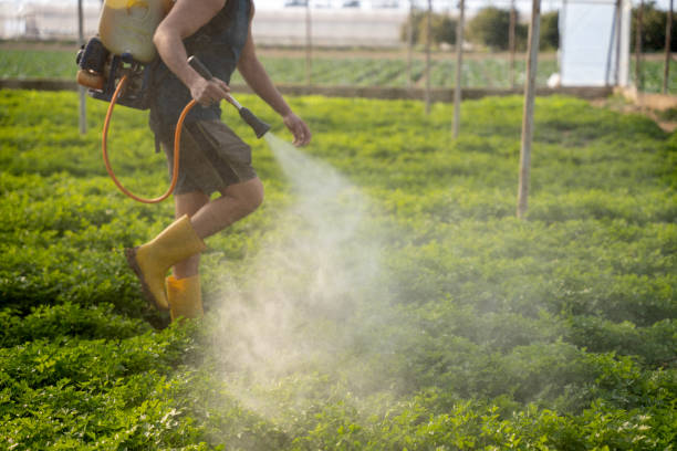 Best Affordable Exterminators  in Garfield, TX