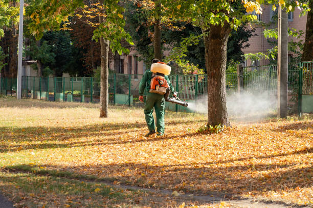 Best Affordable Pest Control Services  in Garfield, TX