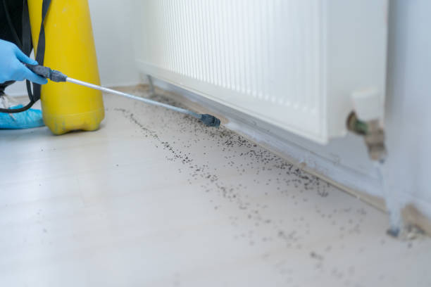 Trusted Garfield, TX Pest Control Experts