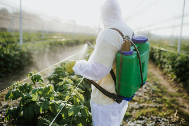 Best Best Pest Control Companies  in Garfield, TX